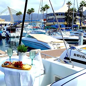 Barco Pita - Amarilla Marina San Miguel de Abona